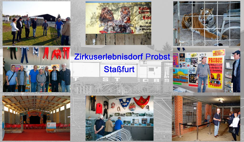 Besuch des Zirkuserlebnisdorfes Rüdiger Probst in Staßfurt
